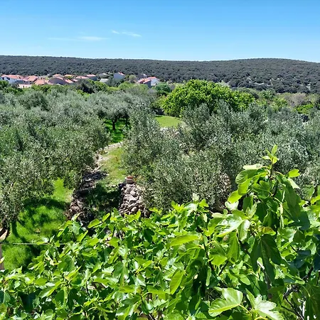 Anamare Appartamento Štivan