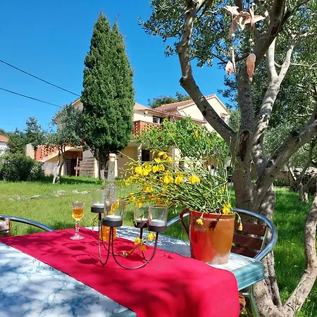 Apartament Anamare *