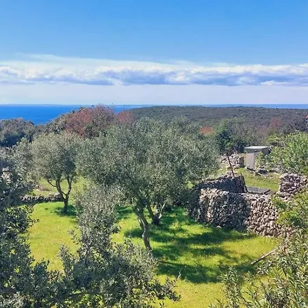 Appartement Anamare *